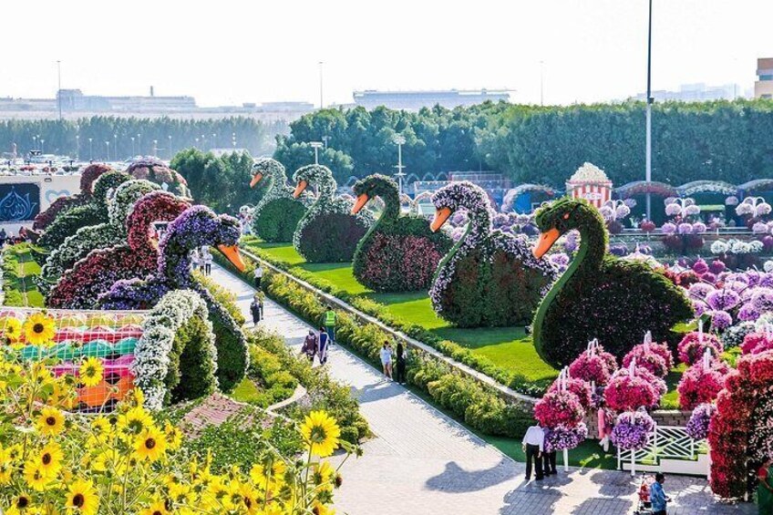 Miracle Garden ticket with Sharing Transfers