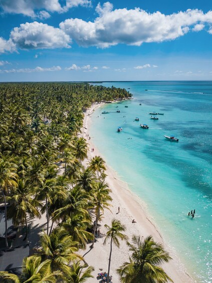 Saona Blue Paradise