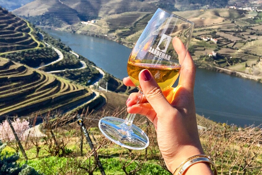 Douro Valley Tour - Wine tasting, boat and lunch from Régua