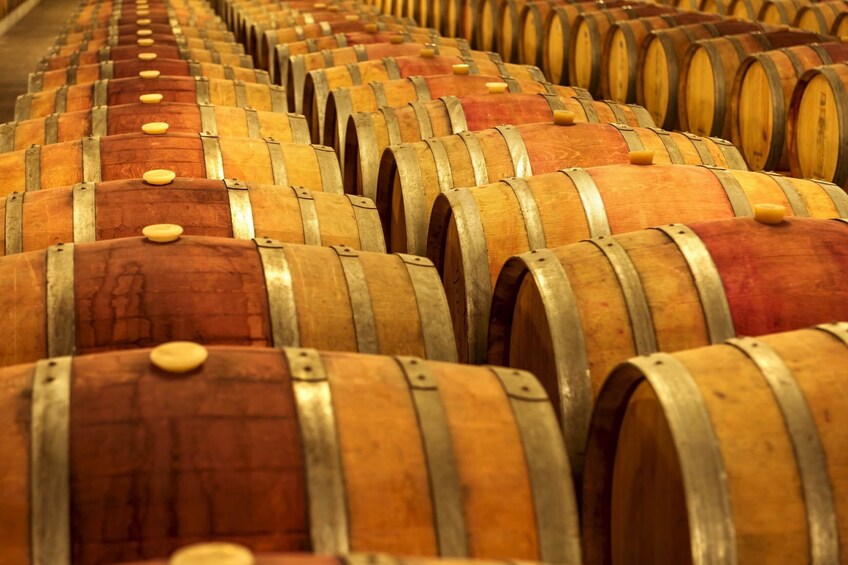 Douro Valley Tour - Wine tasting, boat and lunch from Régua