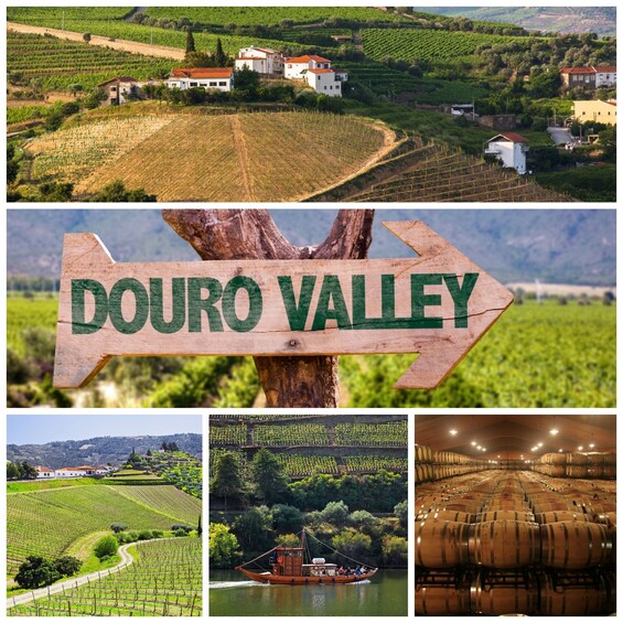 Douro Valley Tour - Wine tasting, boat and lunch from Régua