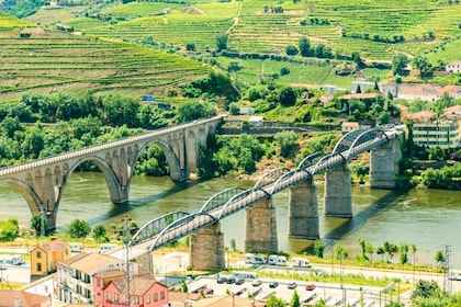 Douro Valley Tour - Wine tasting, boat and lunch from Régua
