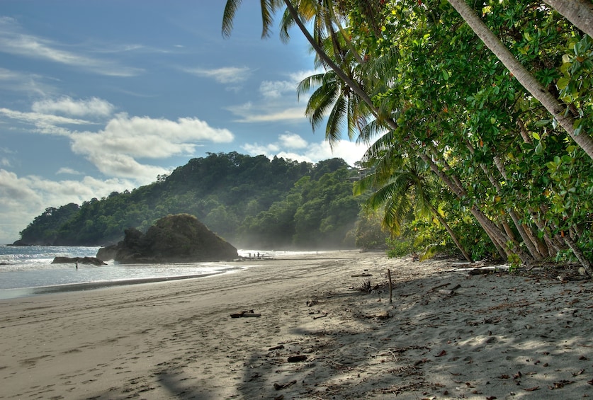 Day trip in Manuel Antonio National Park 