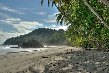 Manuel Antonio National Park Full Day Trip with Lunch From San Jose