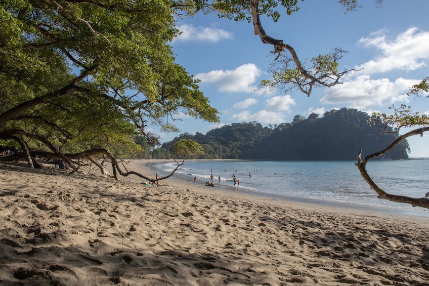 Day trip in Manuel Antonio National Park 