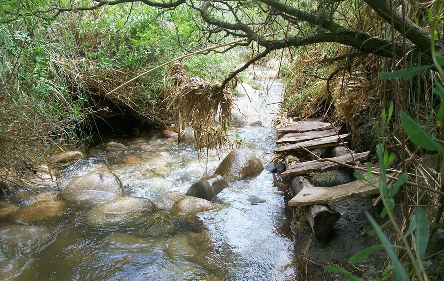 Full Day Tour to Traslasierra Valley from Cordoba