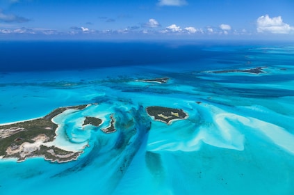 Excursion d'une journée à Bimini Bahamas et transport gratuit !