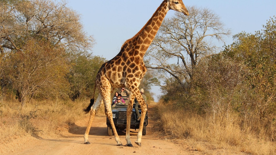 8 days-Best of Zambia, Botswana (Chobe) & Zimbabwe