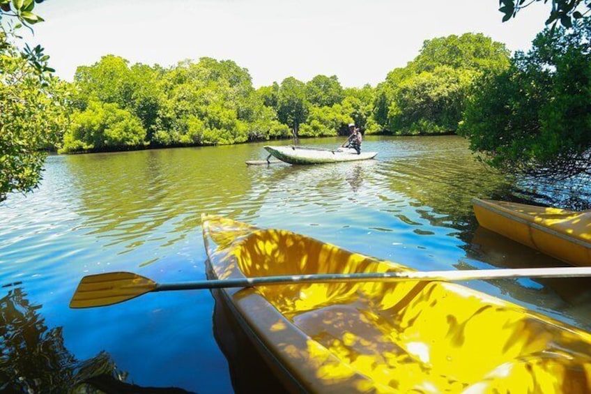 Kayak tangalle