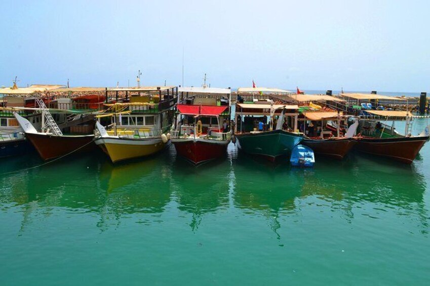 Musandam Sea Safari with Lunch