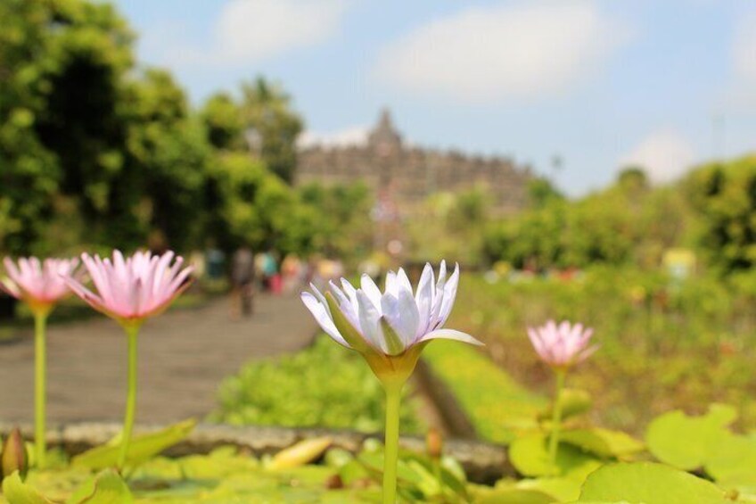 Borobudur temple view from a distance