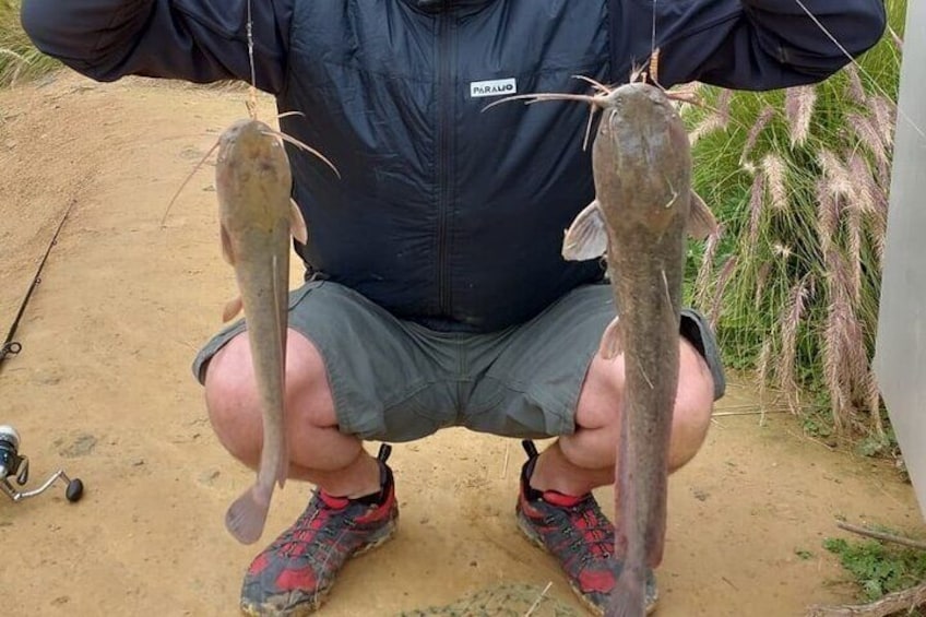 100 % Catch Rate Cape Town Carp and Catfish Fishing Tours