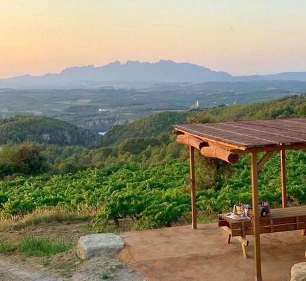 Private Day Trip : Montserrat, Lunch, Wine & Cava Taste in an Ancient Vineyard