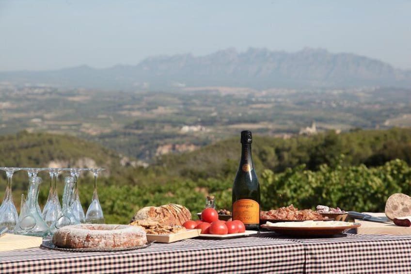 Private Day Trip : Montserrat, Lunch, Wine & Cava Taste in an Ancient Vineyard
