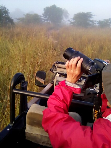 Show item 2 of 7. Shoebill Stork & other bird species birdwatching