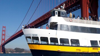 San Francisco Bay Adventure