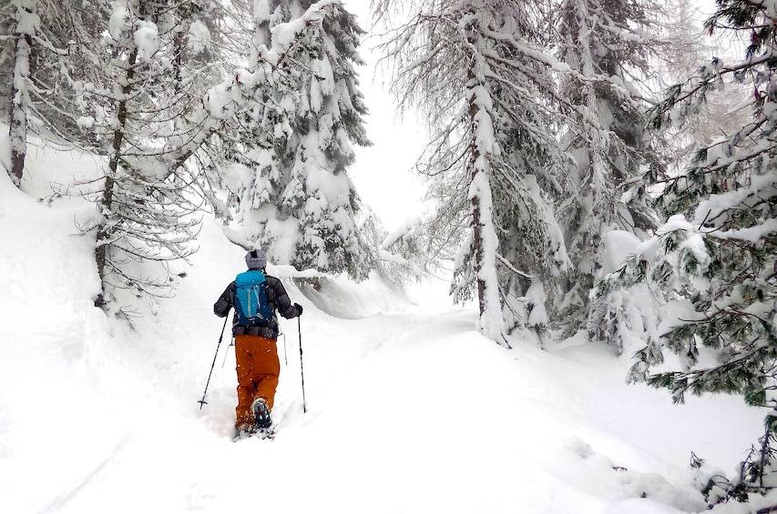 Show item 3 of 7. Snowshoe Tour in the Dolomites near Bolzano (1 day)