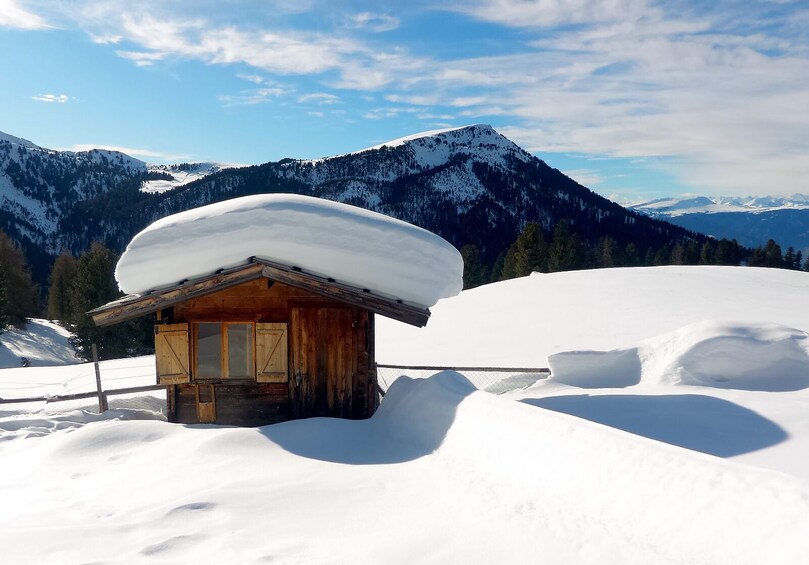 Show item 4 of 7. Snowshoe Tour in the Dolomites near Bolzano (1 day)