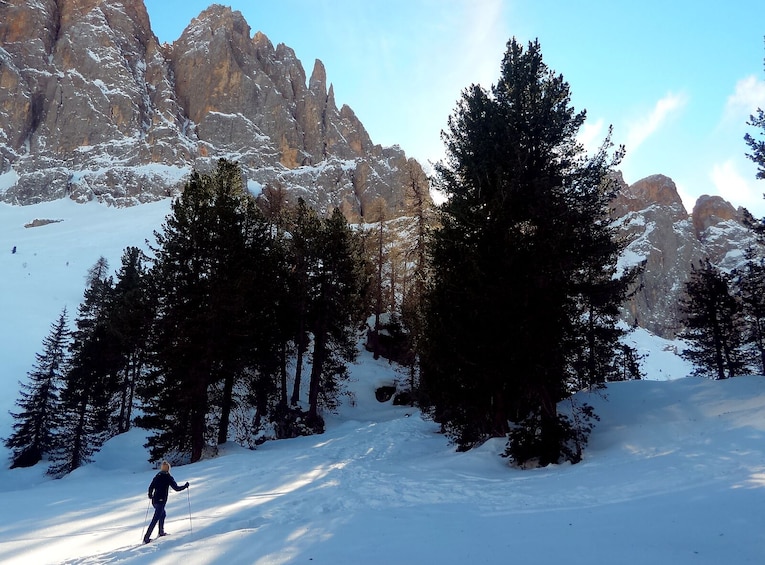 Show item 2 of 7. Snowshoe Tour in the Dolomites near Bolzano (1 day)
