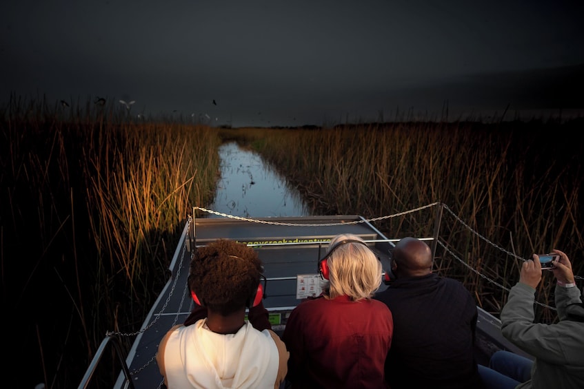 One Hour Night Airboat Tour