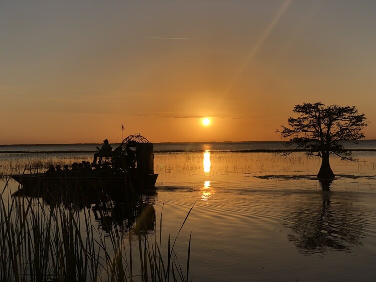 One Hour Night Airboat Tour