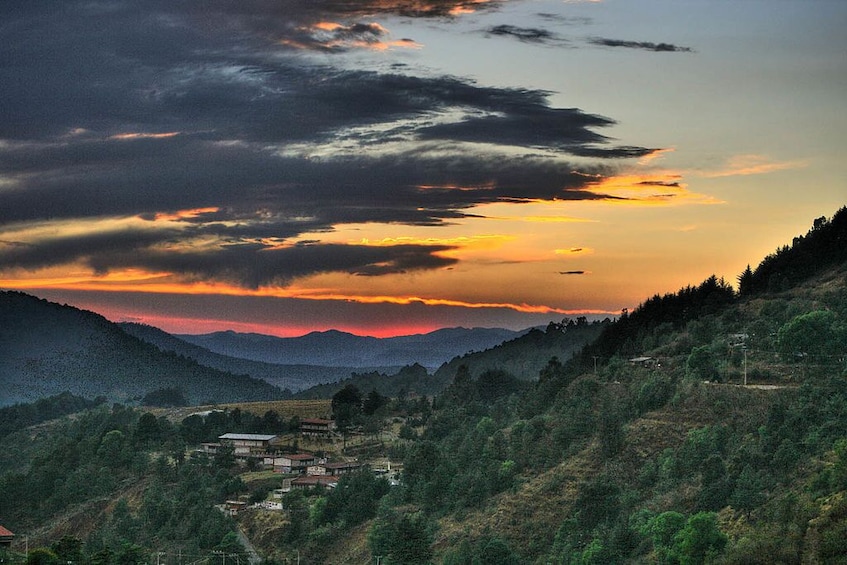 Mexico:Private tour to Monarch Butterfly Reserve & Angangueo