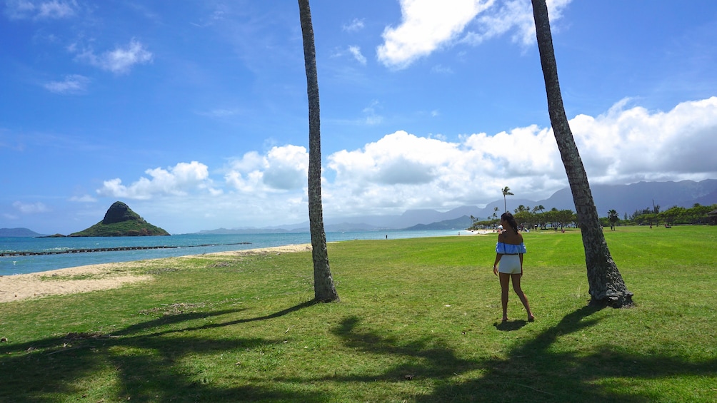 Full-Day Oahu Sightseeing and Gourmet Food Tour