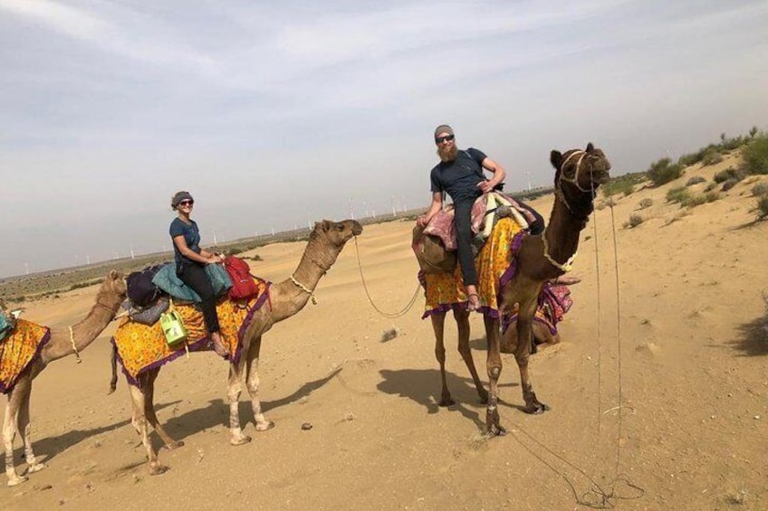 An Non Touristic Half Day Camel Safari