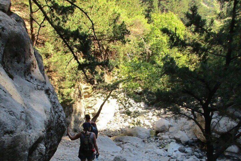 Samaria Gorge Trek: Full-Day Excursion from Chania