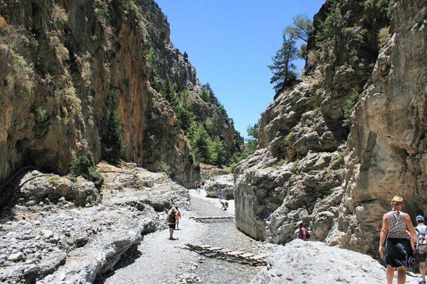 Samaria Gorge Trek: Full-Day Excursion from Chania