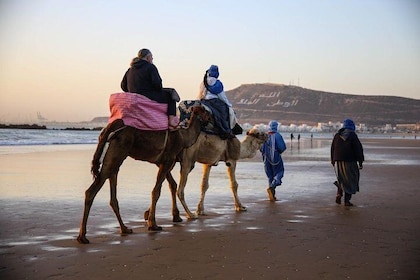Sunset Camel Ride In The Beautiful Beach of Agadir