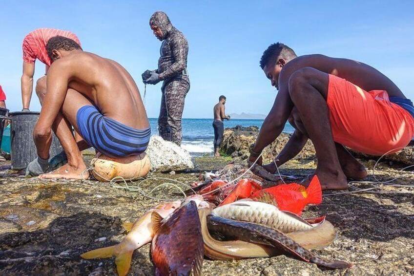 Fresh catch