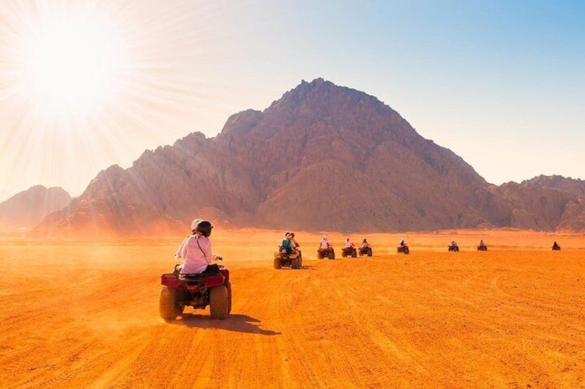 Safari Trip Camel Ride, Bedouin 