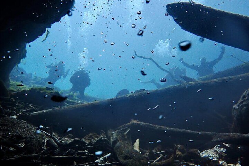 Snorkel Or Dive The Amazing Rainbow River Florida