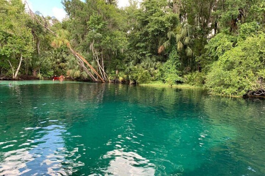 Snorkel Or Dive The Amazing Rainbow River Florida