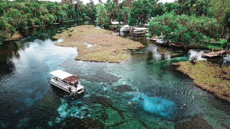 Snorkel Or Dive The Amazing Rainbow River Florida