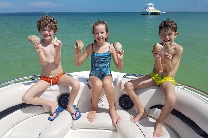 Kids love finding amazing shells!