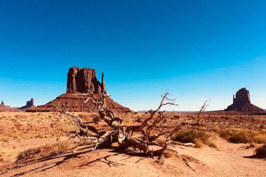 Monument Valley Mittens 