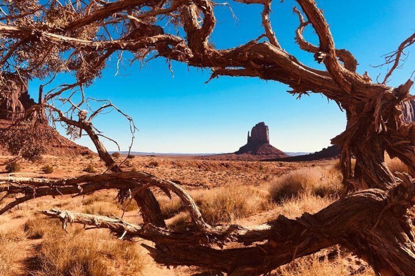 East Mitten Butte