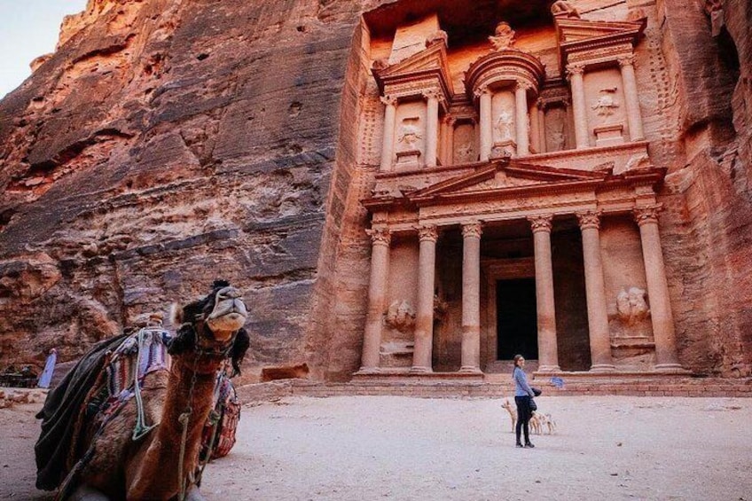 1 Day Tour to Petra from Aqaba Hotels