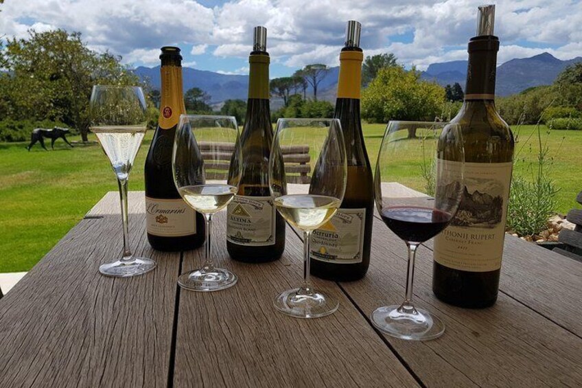 Scenery and wine !