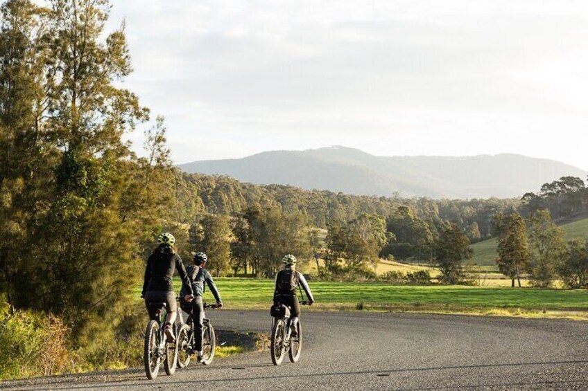 Ride to the Tilba Valley Winery & Ale house and back to Narooma