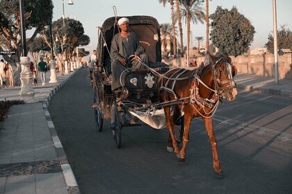 Luxor horse carriage city tour 