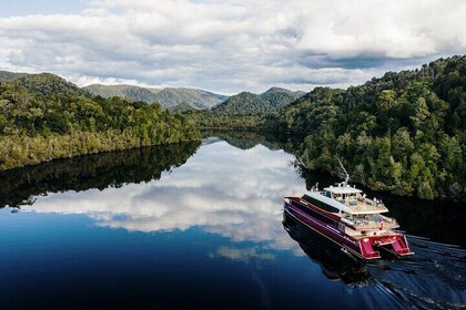 Morning World Heritage Cruise on the Gordon River from Strahan