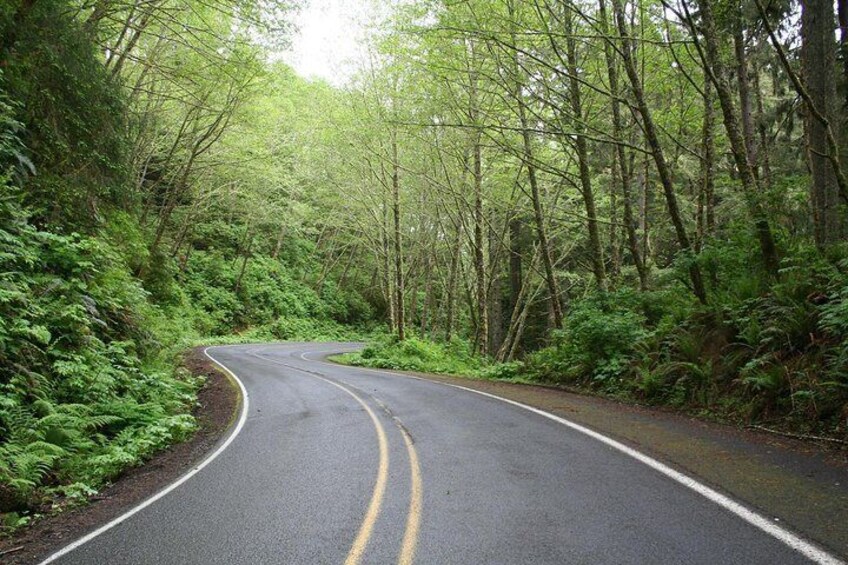 Its not all about the dramatic coastal scenery.....we travel through incredibly different landscapes during the tour