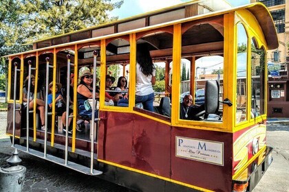 JOURNĂE TLAQUEPAQUENSE, Tram + Ateliers + Gastronomie