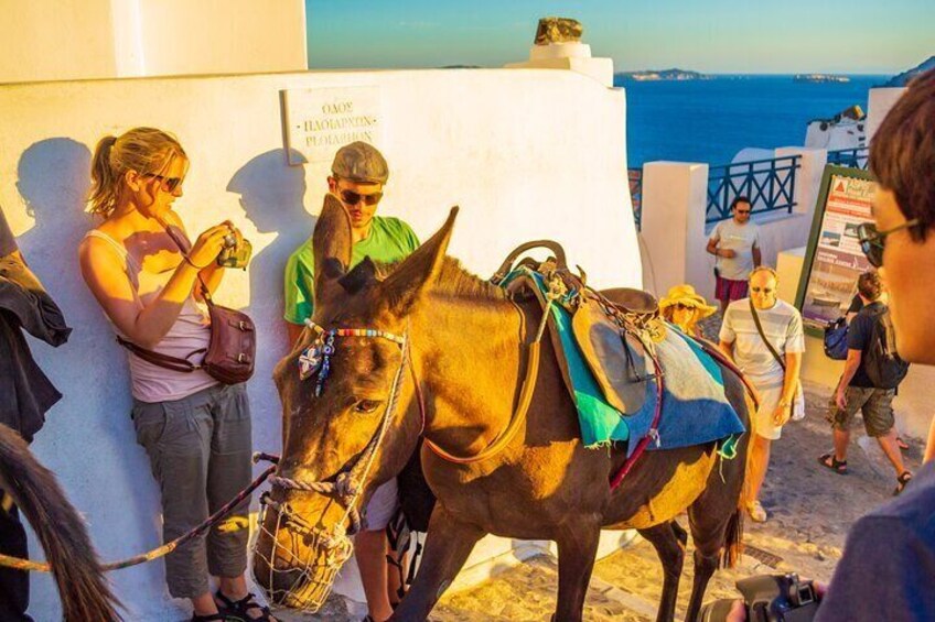 Best of Santorini Full Day Private Trip From Mykonos