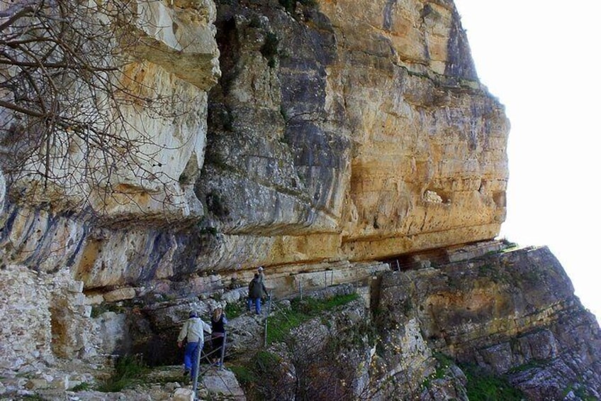 Private Tour shouf (beiteddine, cedars, niha fortress)including traditional food