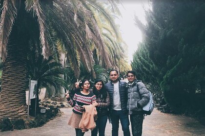 West Jeju Full Day Tour Package By Taxi