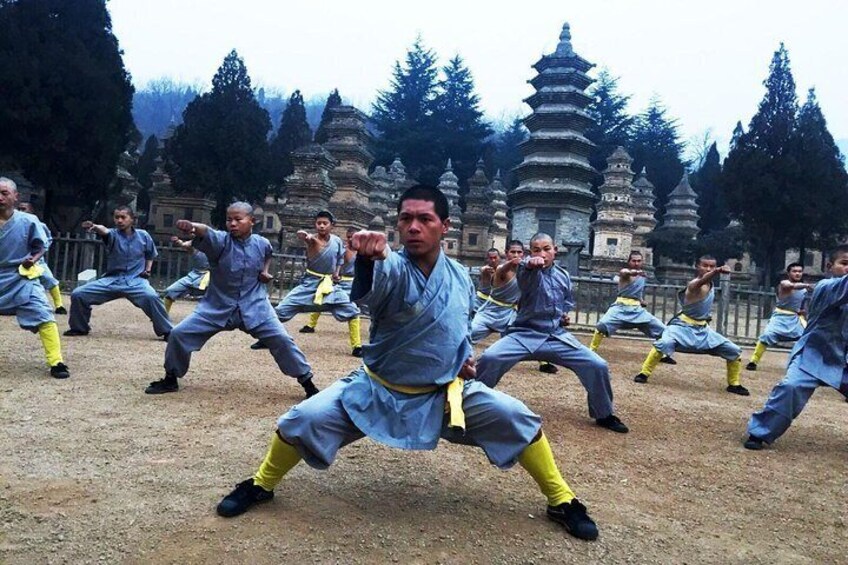 Kungfu Lesson with Master